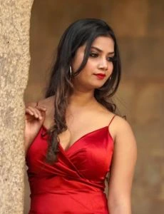 call girl service in Vicarabad